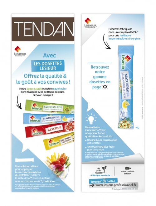 LESIEUR PROFESSIONNEL - Annonces, bannières, clefs USB, ...