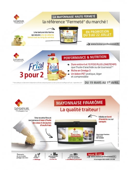 LESIEUR PROFESSIONNEL - Annonces, bannières, clefs USB, ...