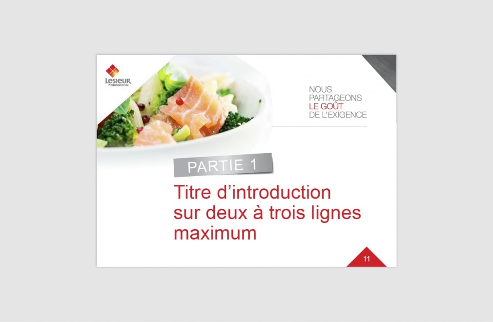 LESIEUR PROFESSIONNEL - Modèle présentation Power Point : 3