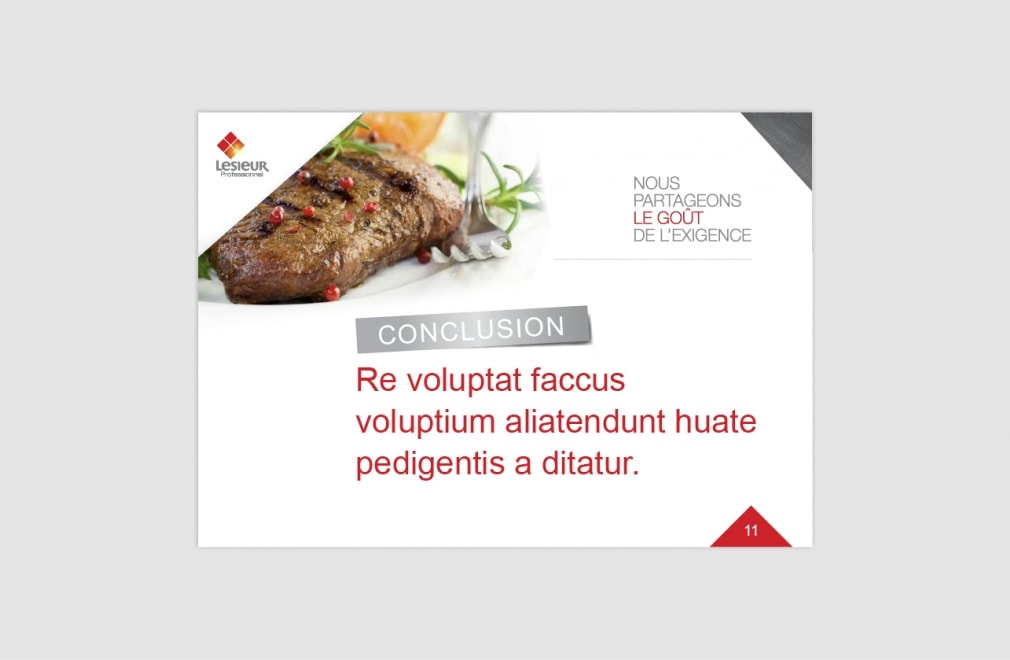 LESIEUR PROFESSIONNEL - Modèle présentation Power Point : 5