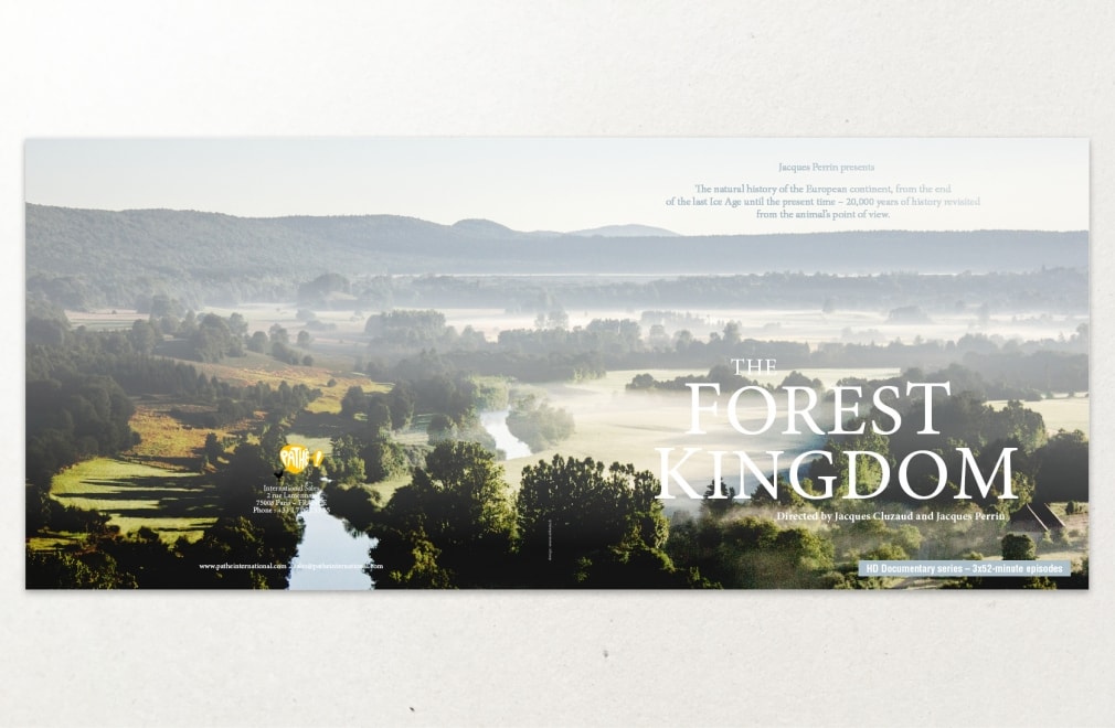 PATHÉ INTERNATIONAL - Dossier de presse 'The Forest Kingdom' : 1