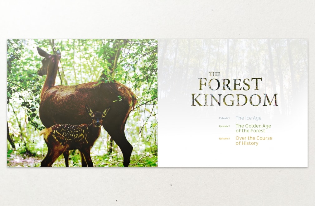 PATHÉ INTERNATIONAL - Dossier de presse 'The Forest Kingdom' : 2
