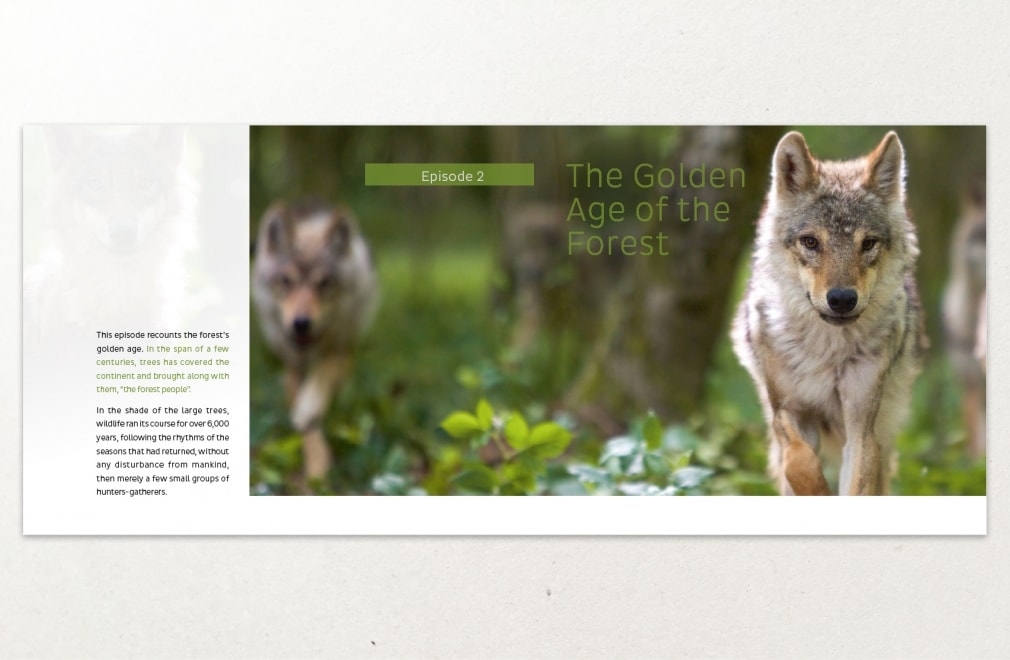 PATHÉ INTERNATIONAL - Dossier de presse 'The Forest Kingdom' : 4