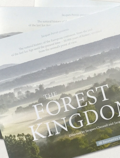 PATHÉ INTERNATIONAL - Dossier de presse 'The Forest Kingdom'